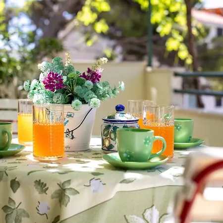 Spaciuos With Terrace In Lejlighed